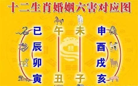 生肖相克化解|化解相克最简单的办法，相克怎么破解